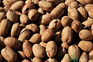 碧根果熱量高嗎?一顆碧根果的熱量是多少 碧根果熱量高嗎?一顆碧根果的熱量是多少