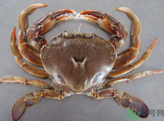 螃蟹和鮮棗能一起吃嗎？螃蟹和大棗能一起吃嗎？