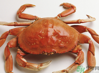 螃蟹和鮮棗能一起吃嗎？螃蟹和大棗能一起吃嗎？