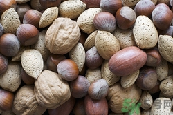 碧根果和什么不能同吃?碧根果和什么相克 碧根果和什么不能同吃?碧根果和什么相克