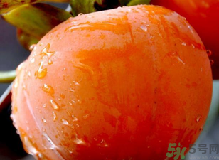 寶寶可以吃柿子嗎？寶寶能柿子嗎？