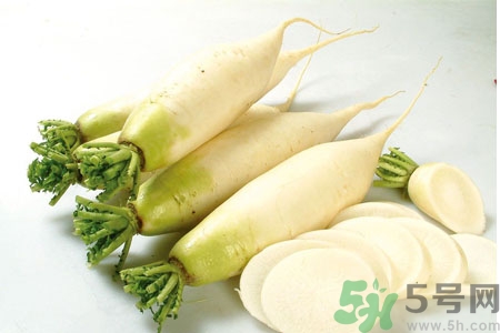 白蘿卜怎么保存？白蘿卜能放多久不壞？