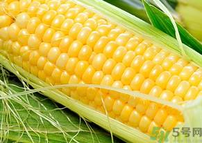 玉米粒怎么剝下來？如何快速剝玉米粒？