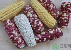 彩色玉米是轉基因嗎？彩色玉米能吃嗎？