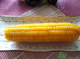 糯玉米煮多久能熟？糯玉米怎樣煮好吃？