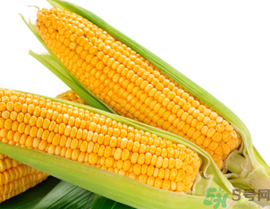 新鮮玉米可以冷凍嗎？新鮮玉米能放冷凍嗎？