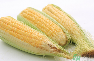 新鮮玉米可以冷凍嗎？新鮮玉米能放冷凍嗎？