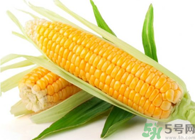 新鮮玉米怎么保存？鮮玉米怎么保存？