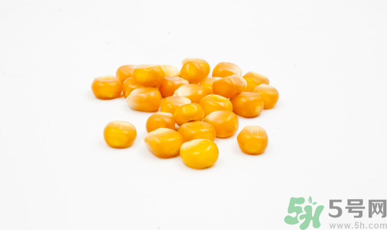 玉米?？梢葬炇裁呆~？玉米粒釣魚方法