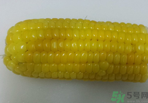 煮熟的玉米能釣魚嗎？煮熟的玉米能直接釣魚嗎？