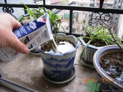 牛奶過期了還能喝嗎？牛奶過期了如何利用？