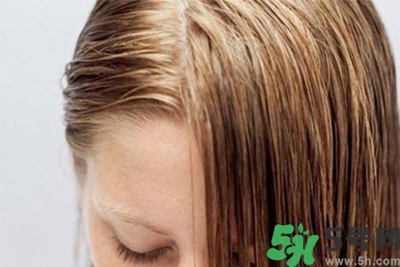 頭發(fā)油膩掉發(fā)怎么辦？頭發(fā)油膩掉發(fā)怎么回事？