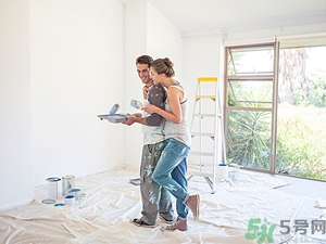 新裝修的房子怎么去甲醛和異味？剛裝修的房子怎么除甲醛？