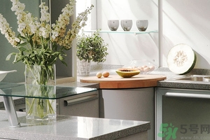 新裝修的房子多久可以入?。啃卵b修的房子多久能?。?></p><h4>放置植物：</h4><p>很多植物適合室內(nèi)種植，除了能釋放一些氧氣外還能吸收一些有害物質(zhì)，常見的蘆薈吸收甲醛，常青藤吸收苯，龍舌蘭吸收苯、甲醛以及三氯乙烯，垂掛蘭吸收一氧化碳和甲醛，將這些植物放置在新裝修的房子中能有效的促進(jìn)有害氣體的排除</p><p>蘆薈：蘆薈有一定的吸收異味作用，作用時間較長，且有美化居室的效果，價格每盆只要5~10元。</p><p>吊蘭：有一種叫“折別鶴”的吊蘭，不但美觀，而且吸附有毒氣體效果特別好。一盆吊蘭在8~10平方米的房間就相當(dāng)于一個空氣凈化器。這種吊蘭每盆3~8元不等。</p><p style=