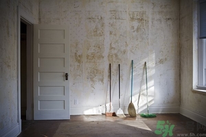 新裝修的房子怎么去甲醛和異味？剛裝修的房子怎么除甲醛？