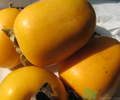 脆柿子可以放冰箱嗎？脆柿子怎么保存？