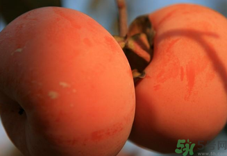 大柿子不能和什么同吃？大柿子和什么食物相克？