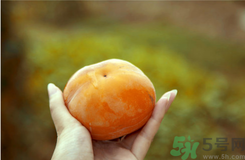 凍柿子和酸奶可以一起吃嗎？?jī)鍪磷雍退崮虝?huì)中毒嗎？