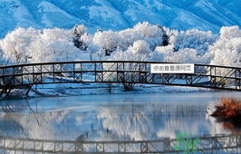 立冬出生的孩子好嗎？立冬出生寶寶取名大全