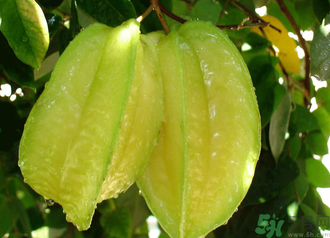 10月份吃什么水果好？十月份吃什么水果？