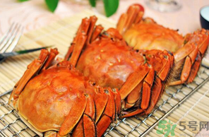 十月份吃公蟹還是母蟹？10月份吃公蟹還是母蟹？