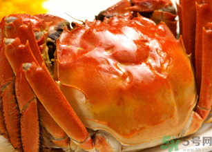 十月份吃公蟹還是母蟹？10月份吃公蟹還是母蟹？