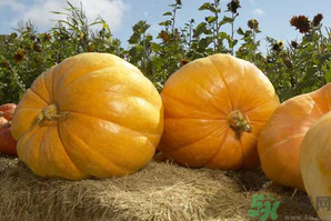 十月份吃什么蔬菜？10月份吃什么蔬菜？