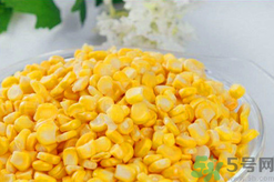 秋天釣魚用什么餌料？秋季釣魚用什么餌料好？