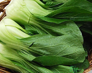 青菜可以放冰箱嗎？青菜能放冰箱保鮮嗎？