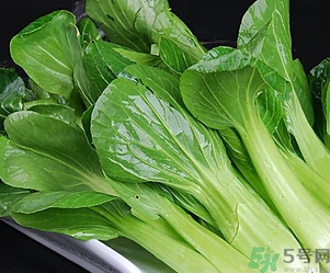 青菜可以放冰箱嗎？青菜能放冰箱保鮮嗎？