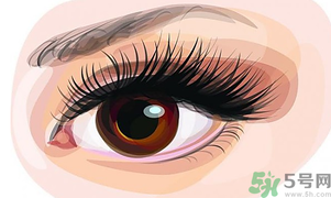 秋天適合割雙眼皮嗎？秋天割雙眼皮好嗎？