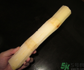 甘蔗可以放冰箱嗎？甘蔗放冰箱能保存多久？