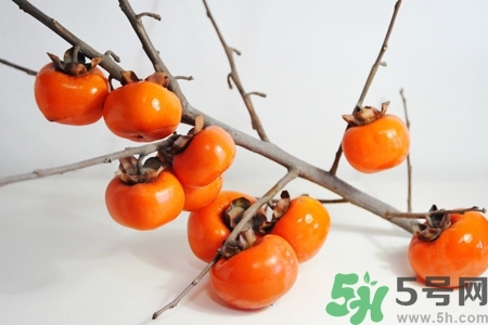 吃脆柿子有什么好處？脆柿子吃多了有什么壞處？