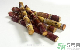 甘蔗可以止咳嗎？甘蔗可以治咳嗽嗎？