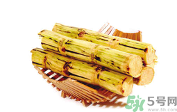 甘蔗可以止咳嗎？甘蔗可以治咳嗽嗎？