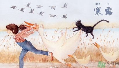 寒露吃什么好？寒露食療