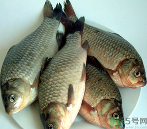 秋天釣鯽魚用什么餌料？秋天釣鯽魚用什么味餌？