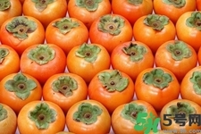 脆柿子是怎么做好吃？脆柿子的制作方法