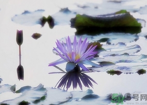 寒露穿什么鞋子？寒露可以穿涼鞋嗎？