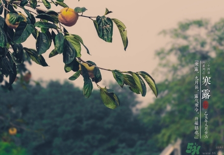 寒露穿什么鞋子？寒露可以穿涼鞋嗎？