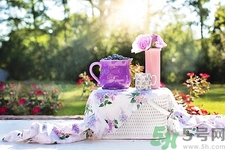 2017年春節(jié)結(jié)婚好嗎?2017年春節(jié)結(jié)婚黃道吉日 2017年春節(jié)結(jié)婚好嗎?2017年春節(jié)結(jié)婚黃道吉日