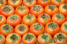 坐月子能吃脆柿子嗎？脯乳期可以吃脆柿子嗎？