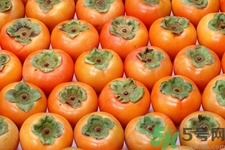 軟柿子和硬柿子能經(jīng)常吃嗎？脆柿子和軟柿子的區(qū)別