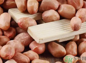 生花生吃多了會(huì)怎么樣？生花生吃多了會(huì)長胖嗎？