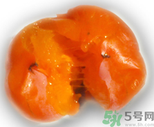 新鮮柿子皮可以吃嗎？吃了柿子皮怎么辦？