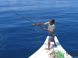 秋天釣鯉魚用什么味型？秋季釣鯉魚餌料味型