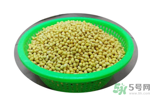 新鮮黃豆怎么保存？新鮮黃豆米如何保存？