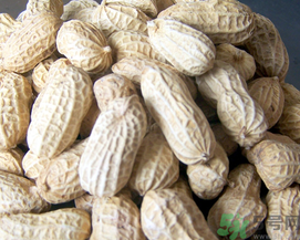 新鮮花生可以放冷凍嗎？新鮮花生可以放冰箱嗎？