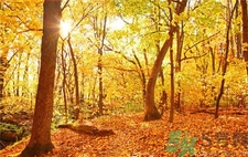 秋季幼兒如何預(yù)防感冒？秋季幼兒感冒怎么辦？