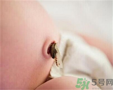 新生兒肚臍怎么護理？新生兒肚臍什么時候掉？